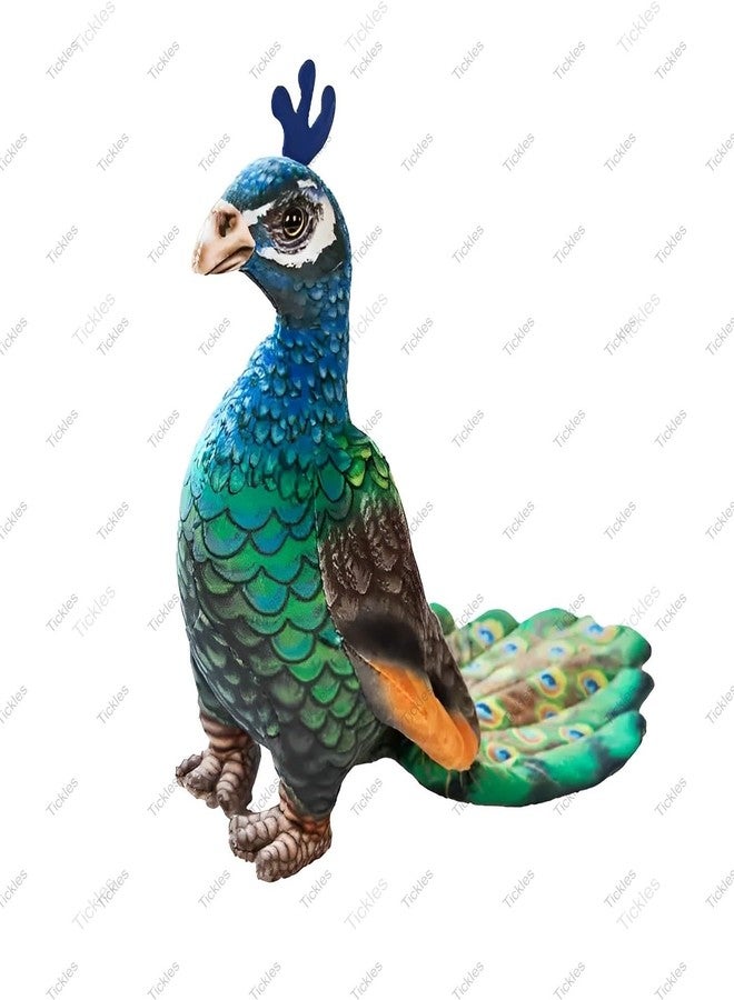 تيكلز لعبة قطيفة ناعمة محشوة على شكل طاووس جميل من تيكلز، هدية مثالية للأطفال من الأولاد والبنات في أعياد الميلاد (الحجم: 35 سم؛ اللون: متعدد الألوان) - Image 2